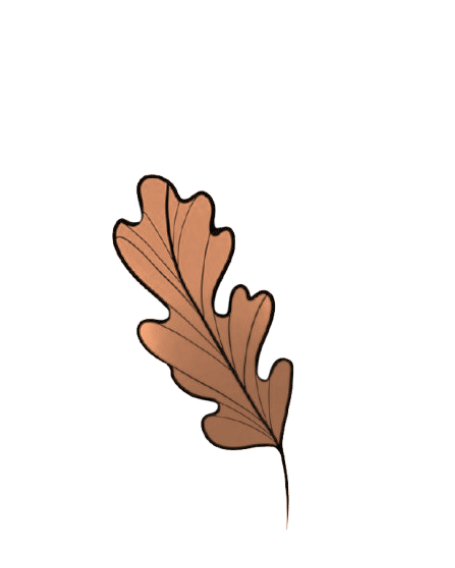 Blackwater Botanicals