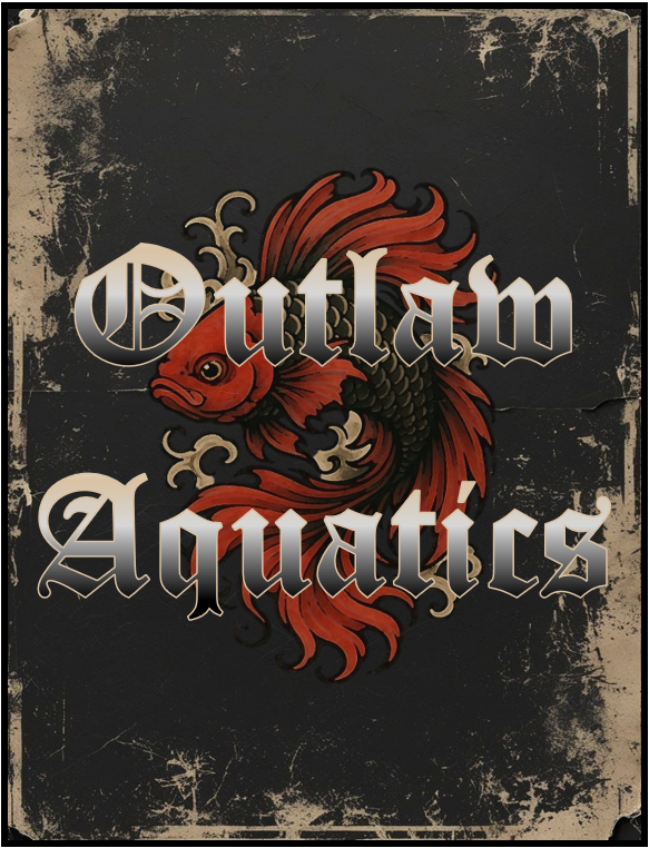 Outlaw Aquatics